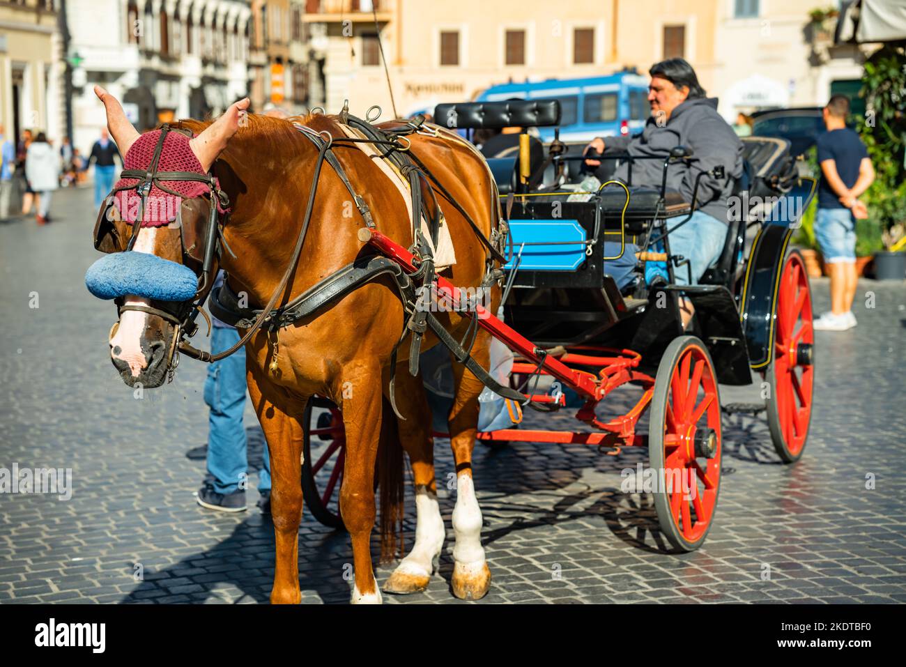 Cavallo e carretto in attesa di turisti a Roma Foto Stock