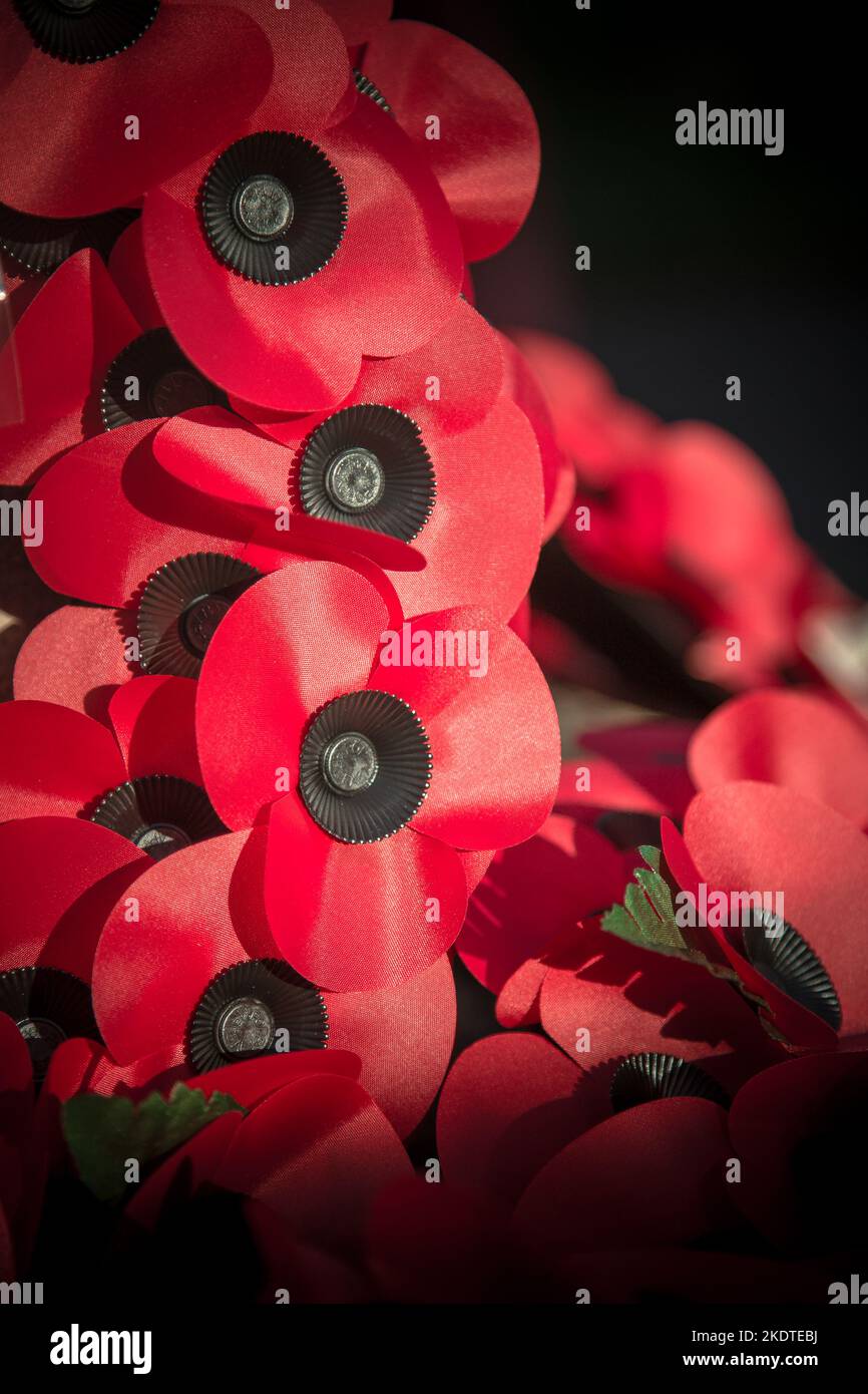 Remembrance Day Poppy corona illuminata dalla luce del sole del mattino su un memoriale di guerra in un cimitero a Bicester, Oxfordshire. Foto Stock