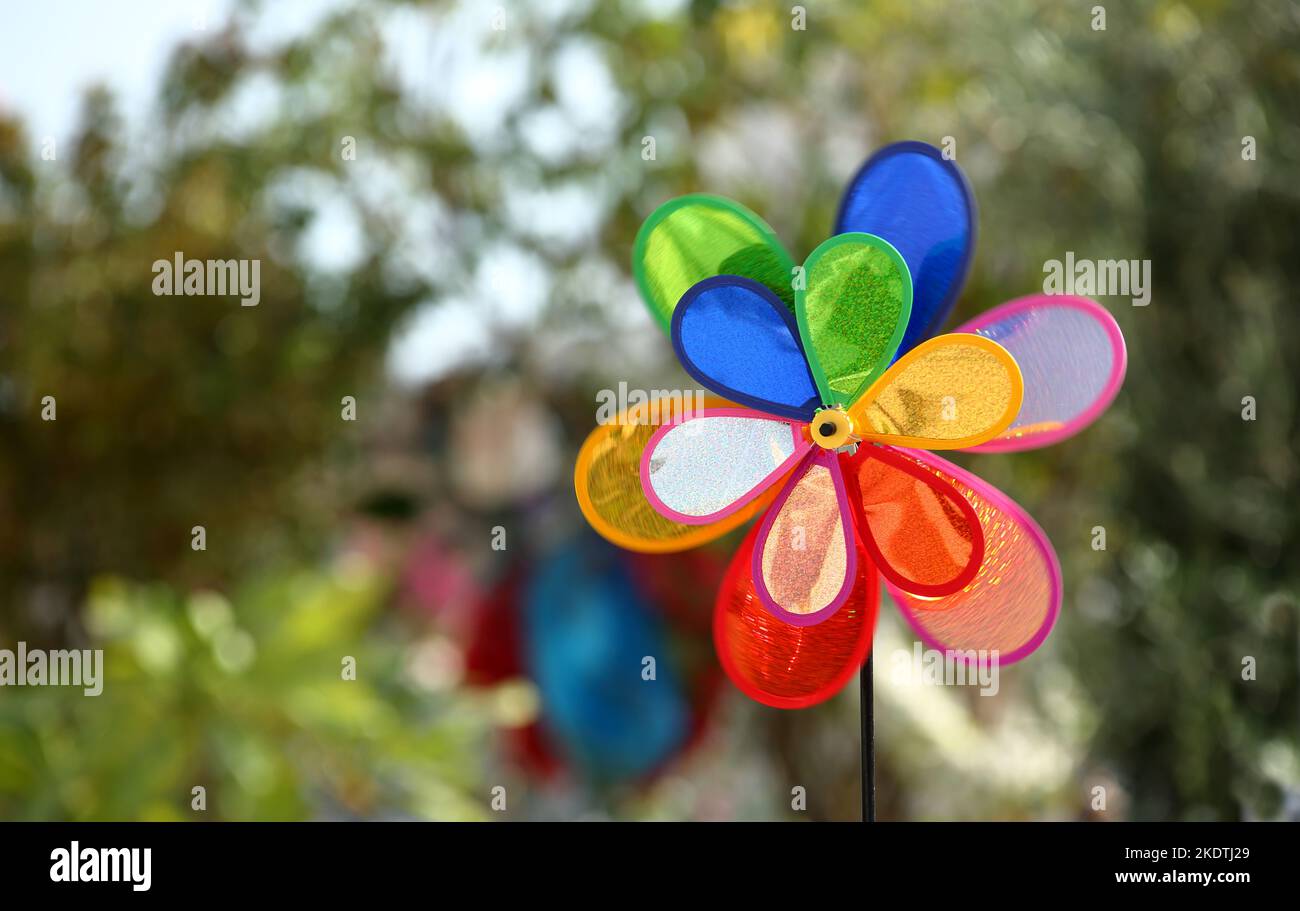 Simpatico giraoggetti per bambini in movimento in giardino nelle giornate di sole e luminose Foto Stock