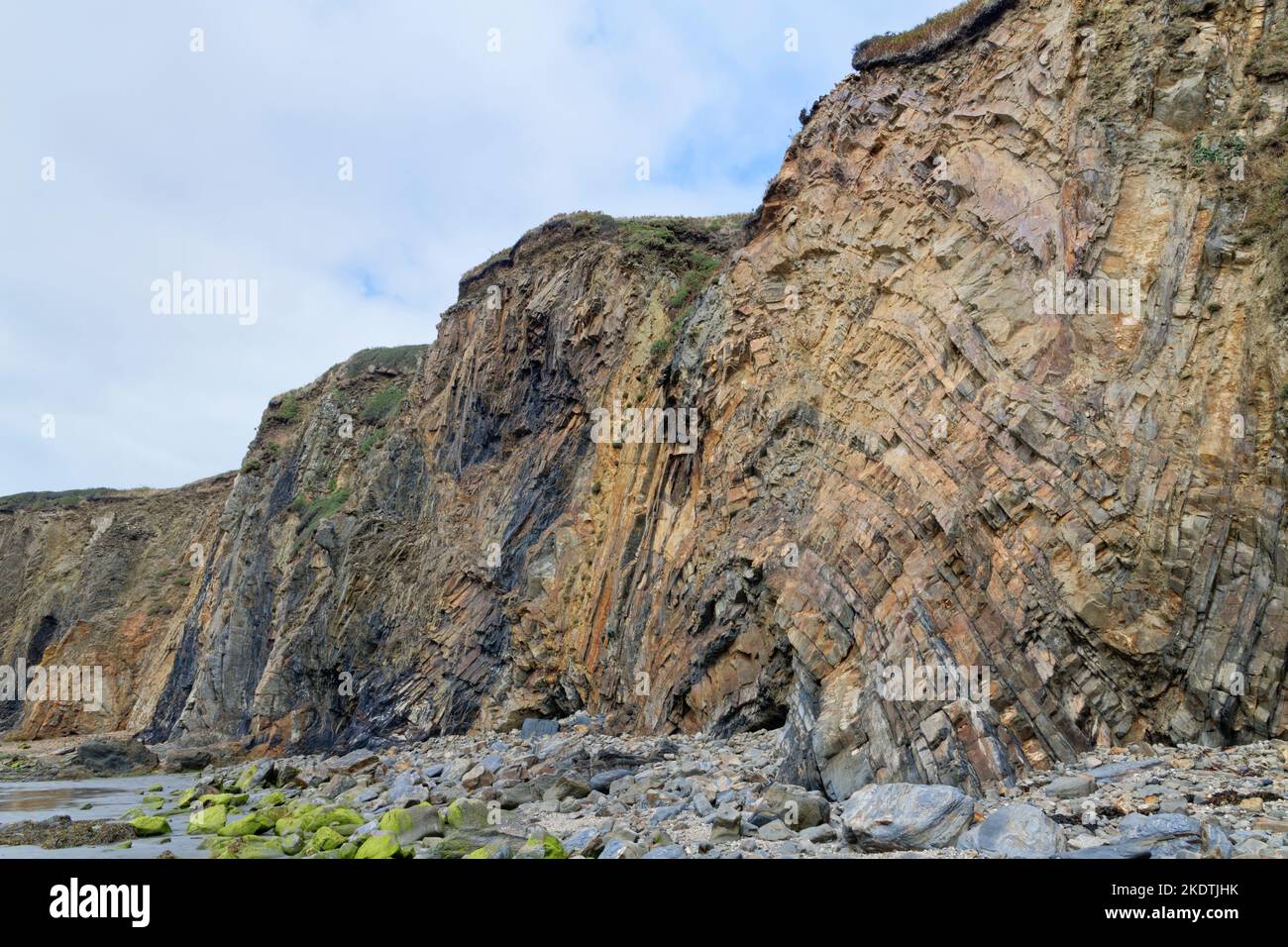 Vecchie scogliere costiere di arenaria rossa con strati deformati ritorti, Newport, Pembrokeshire, Galles, Regno Unito, Luglio. Foto Stock