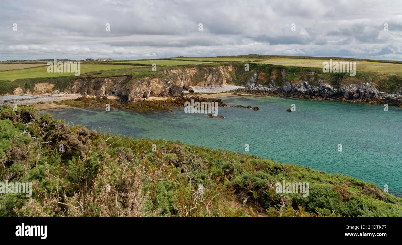 Porthlysgi Bay, vicino Porthclais, St. Davids, Pembrokeshire, Galles, Regno Unito, agosto 2022. Foto Stock