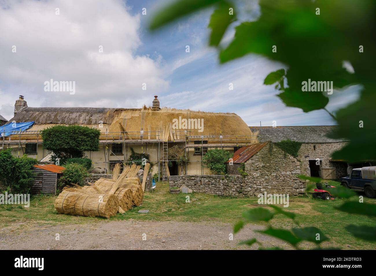 Foto di Jim Wileman - Jane Rush, nella Lower Jurston Farm, vicino a Chagford, Devon. Jane sta strattando il suo tetto. Foto Stock Foto di Jim Wileman - Jane Rush, nella Lower Jurston Farm, vicino a Chagford, Devon. Jane sta strattando il suo tetto. Foto Stock