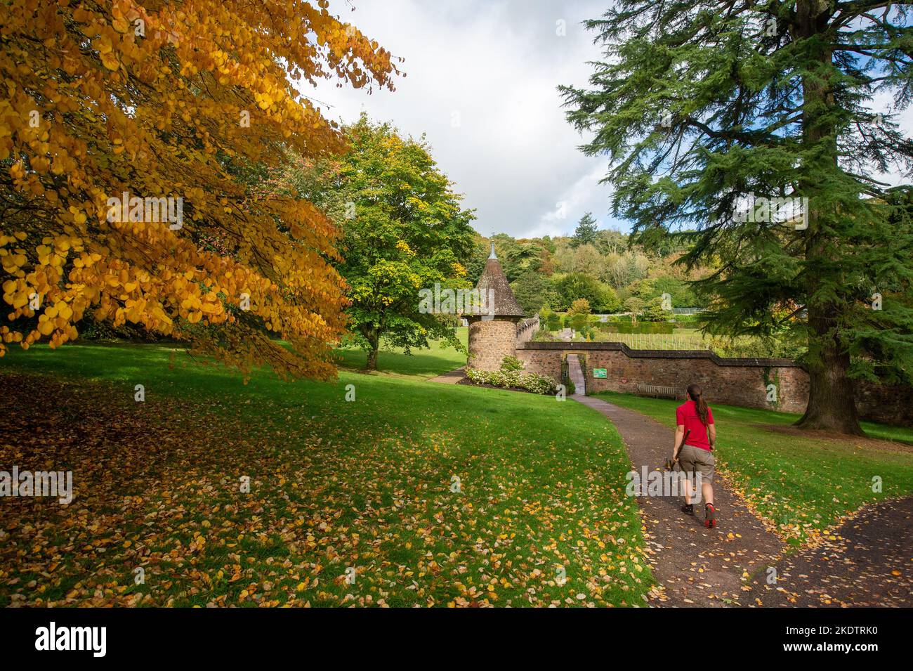 Foto di Jim Wileman - colori autunnali a Knightshayes, National Trust Property, Tiverton Devon Foto Stock