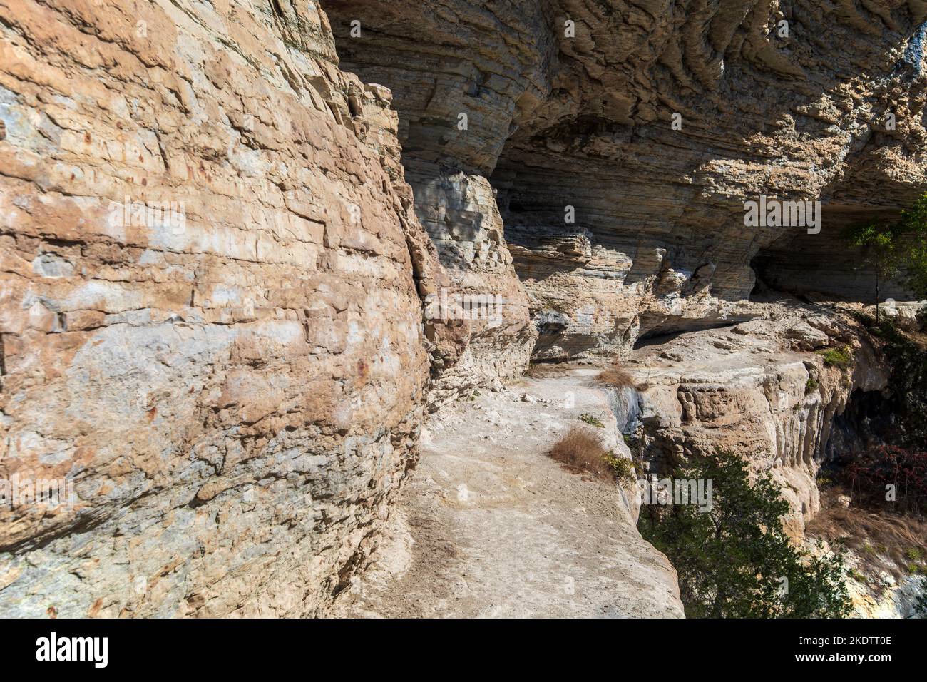 Un sentiero escursionistico su una scogliera rocciosa lungo il Big Bluff Goat Trail nelle Ozark Mountains. Foto Stock