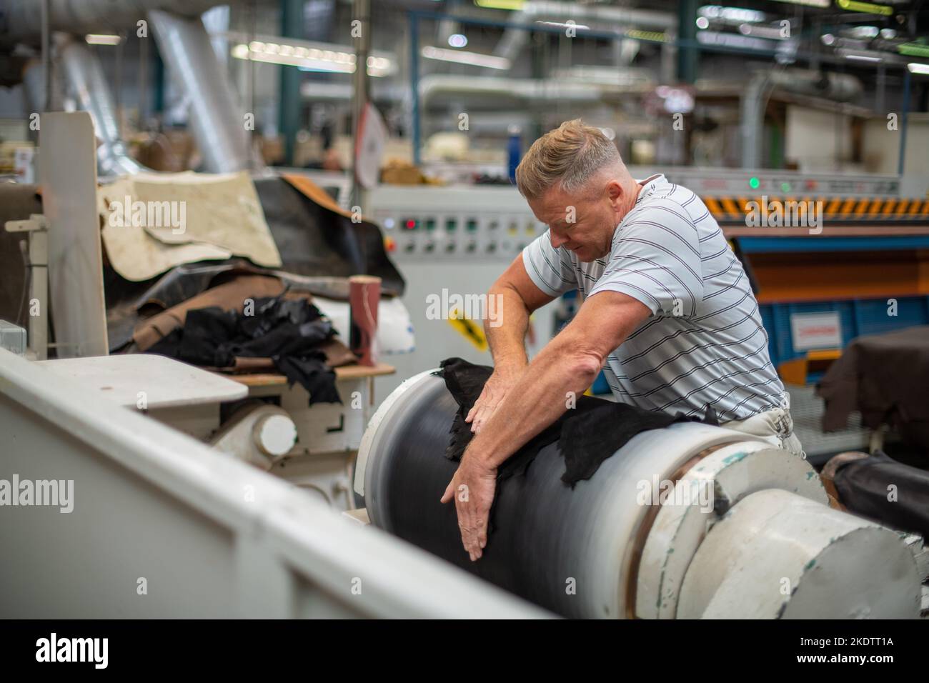 Foto Jim Wileman - Pittards fabbrica di articoli in pelle, a Yeovil, Somerset. Foto Stock