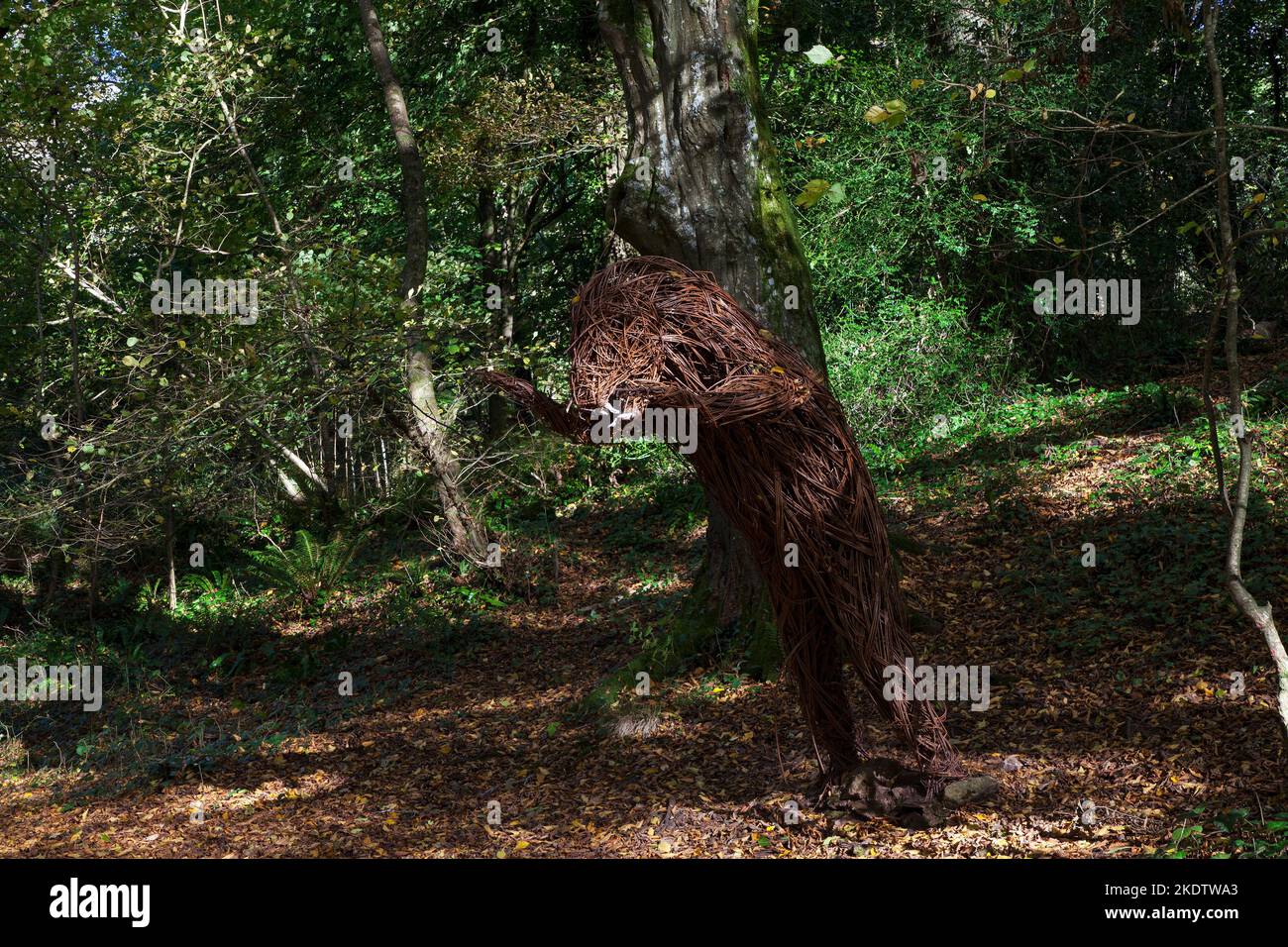 Scultura di orso fatta da salice tra boschi decidui, Ebbor Gorge National Nature Reserve, Mendip Hills, Somerset, Inghilterra, Regno Unito, Ottobre 2018 Foto Stock