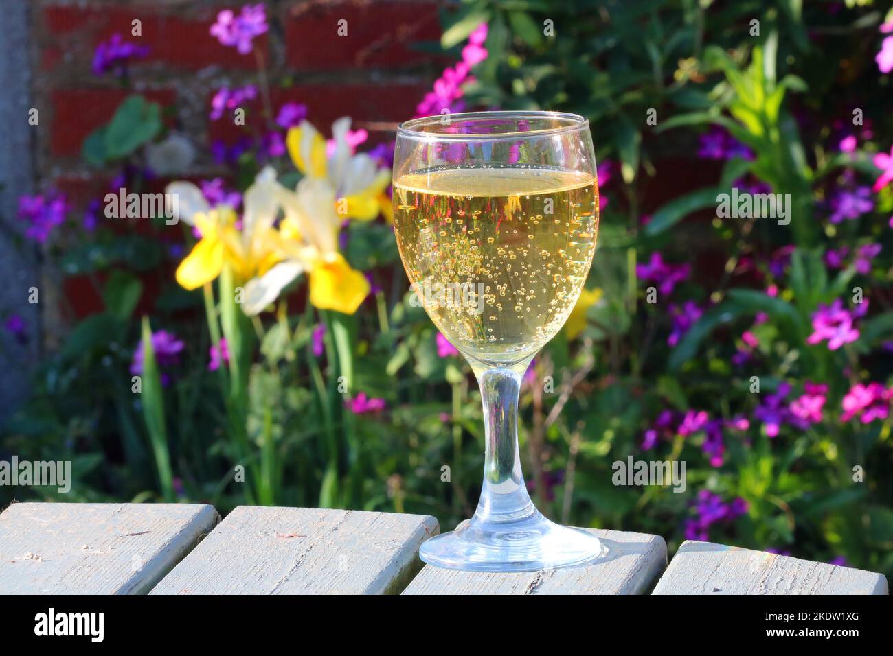 Bicchiere di champagne o vino frizzante su un tavolo in un giardino con fiori sullo sfondo. Foto Stock