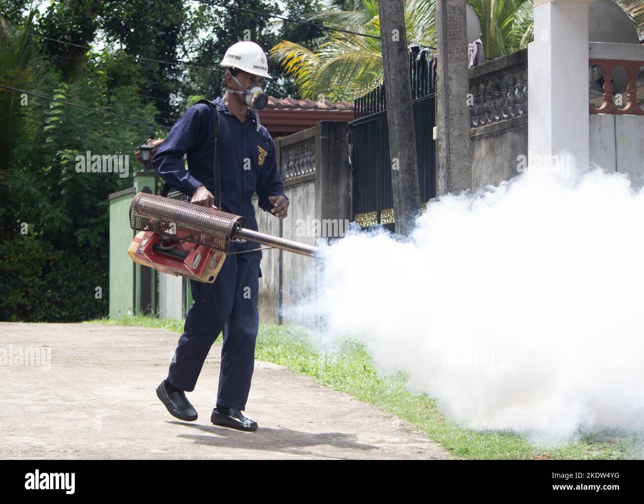 Colombo, occidentale, Sri Lanka. 8th Nov 2022. Un lavoratore governativo che si appannava come strategia di prevenzione per la dengue. Secondo l'unità nazionale di controllo della Dengue, quest'anno si è registrato un rapido aumento del numero di persone contagiate dalla dengue. Quasi la maggior parte dei casi di dengue sono stati segnalati da Colombo e dai suoi sobborghi. (Credit Image: © Isura Nimantha/Pacific Press via ZUMA Press Wire) Foto Stock