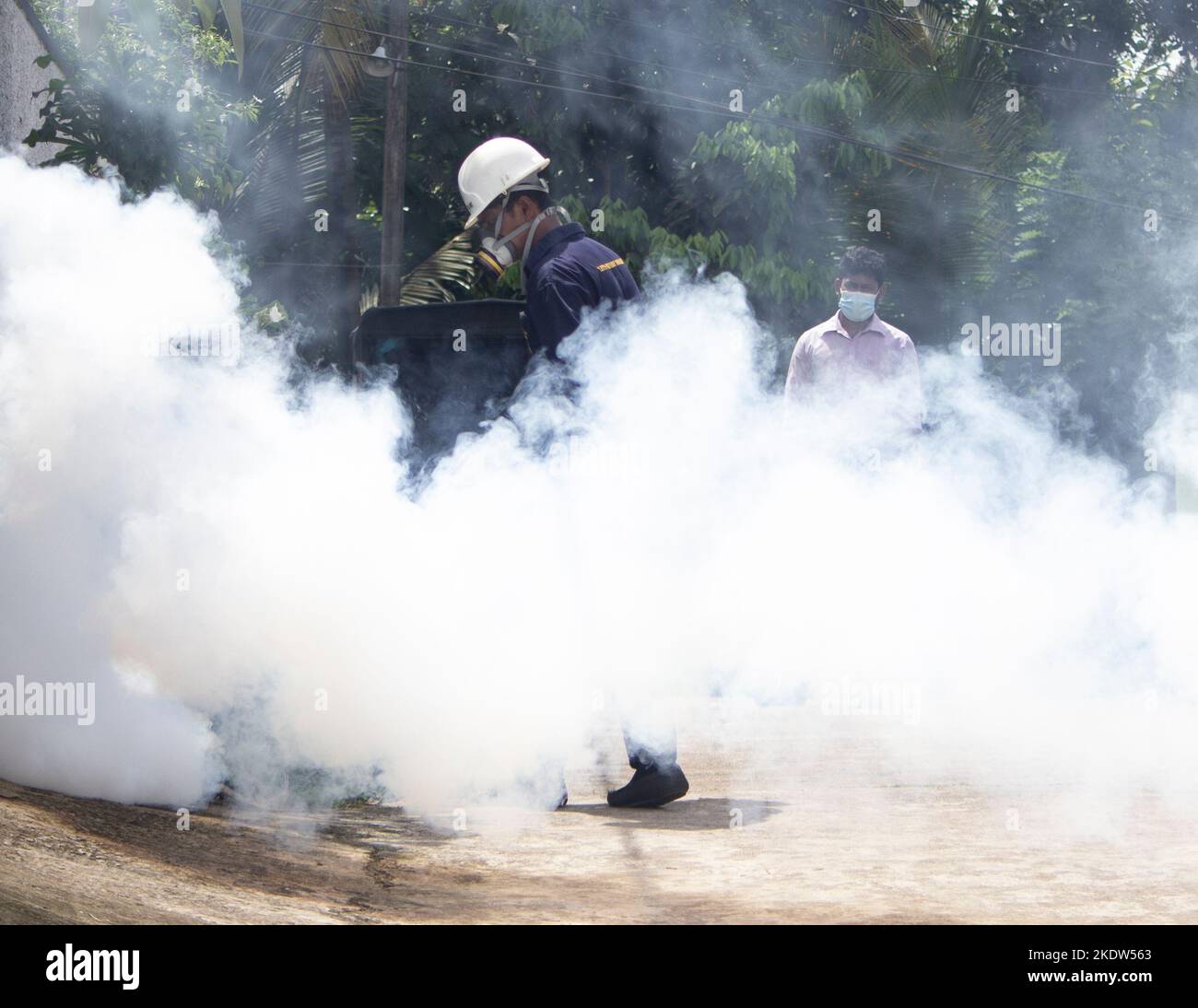 Colombo, occidentale, Sri Lanka. 8th Nov 2022. Un lavoratore governativo che si appannava come strategia di prevenzione per la dengue. Secondo l'unità nazionale di controllo della Dengue, quest'anno si è registrato un rapido aumento del numero di persone contagiate dalla dengue. Quasi la maggior parte dei casi di dengue sono stati segnalati da Colombo e dai suoi sobborghi. (Credit Image: © Isura Nimantha/Pacific Press via ZUMA Press Wire) Foto Stock