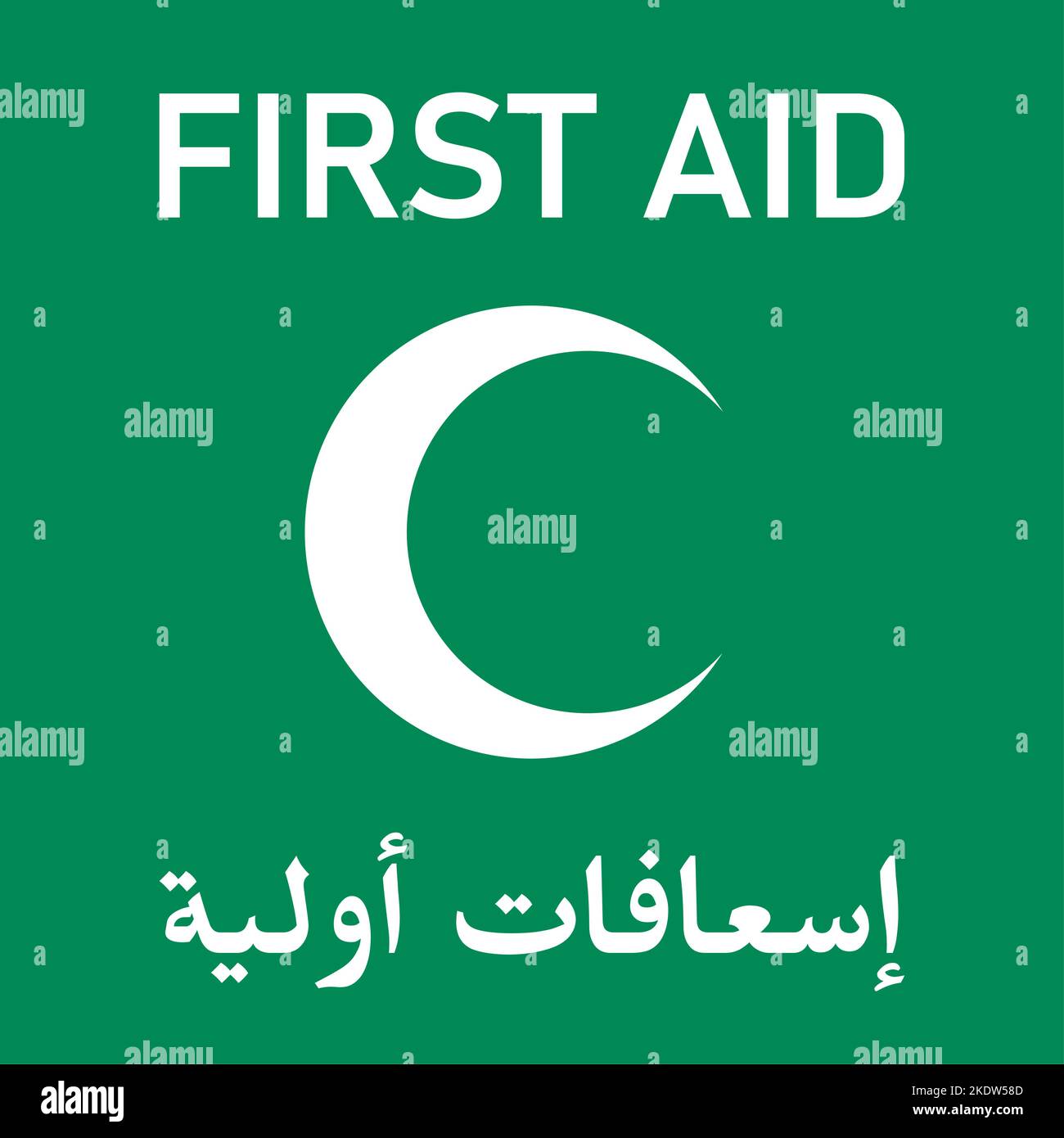Icona verde della casella di pronto soccorso in inglese e arabo con simbolo di mezzaluna o mezza luna. Immagine vettoriale. Illustrazione Vettoriale