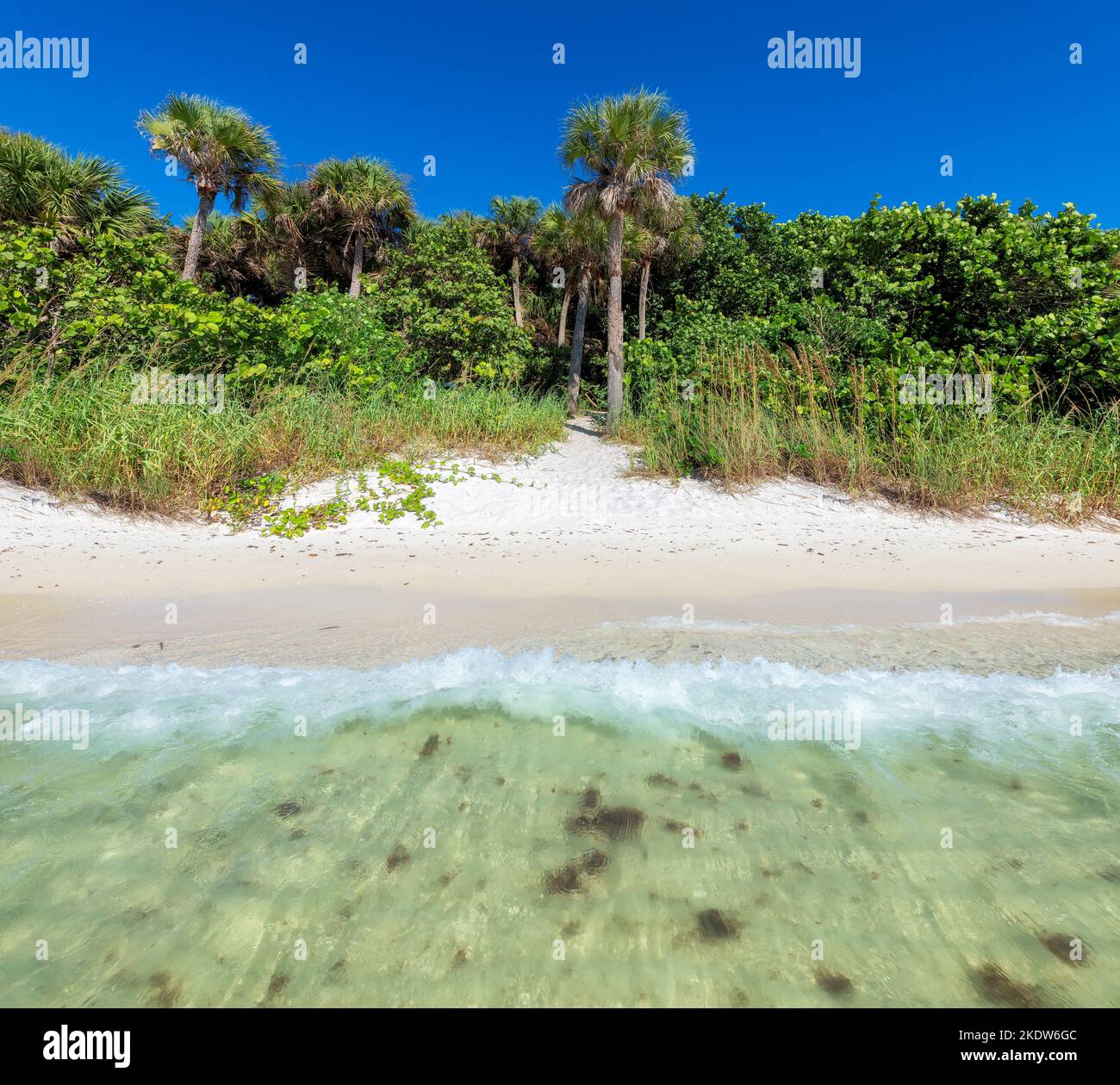 Spiaggia tropicale vista mare Foto Stock