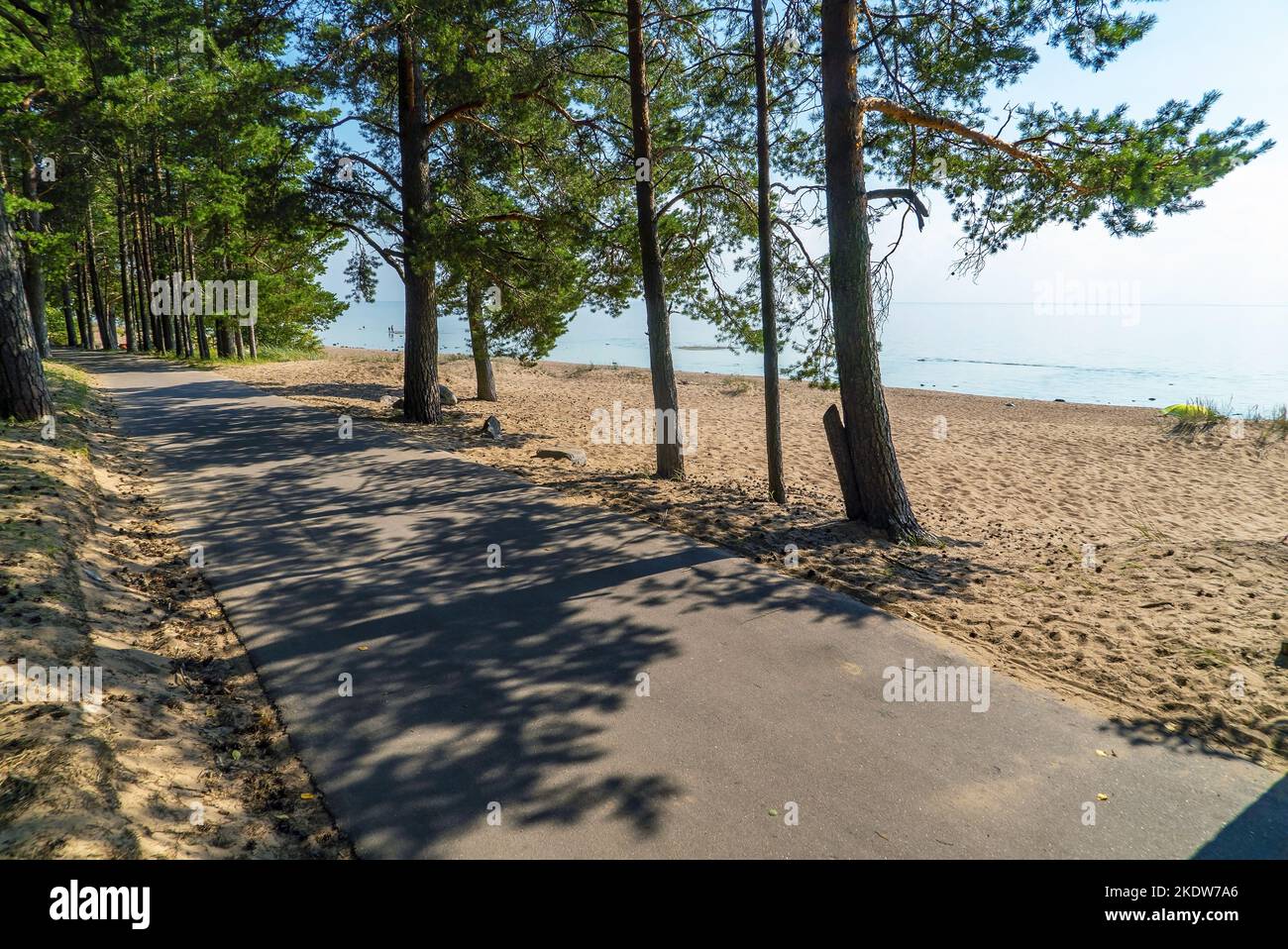 La costa del Golfo di Finlandia vicino al villaggio di Komarovo. San Pietroburgo. Foto Stock