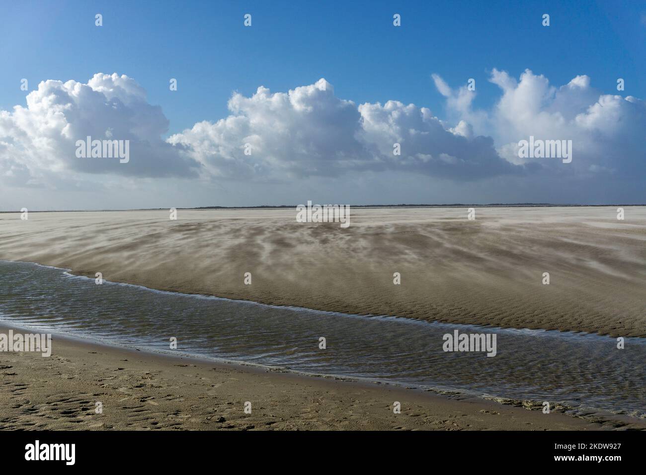 Mare del Nord, Isola di Spiekeroog, autunno, forte vento guida la sabbia sopra le pianure mudali con la bassa marea, costa occidentale dell'Isola della Frisia Orientale, bassa Sassonia, Foto Stock