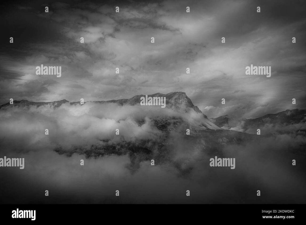 Panorama bianco e nero delle vette tra Svizzera, Italia e Austria Foto Stock