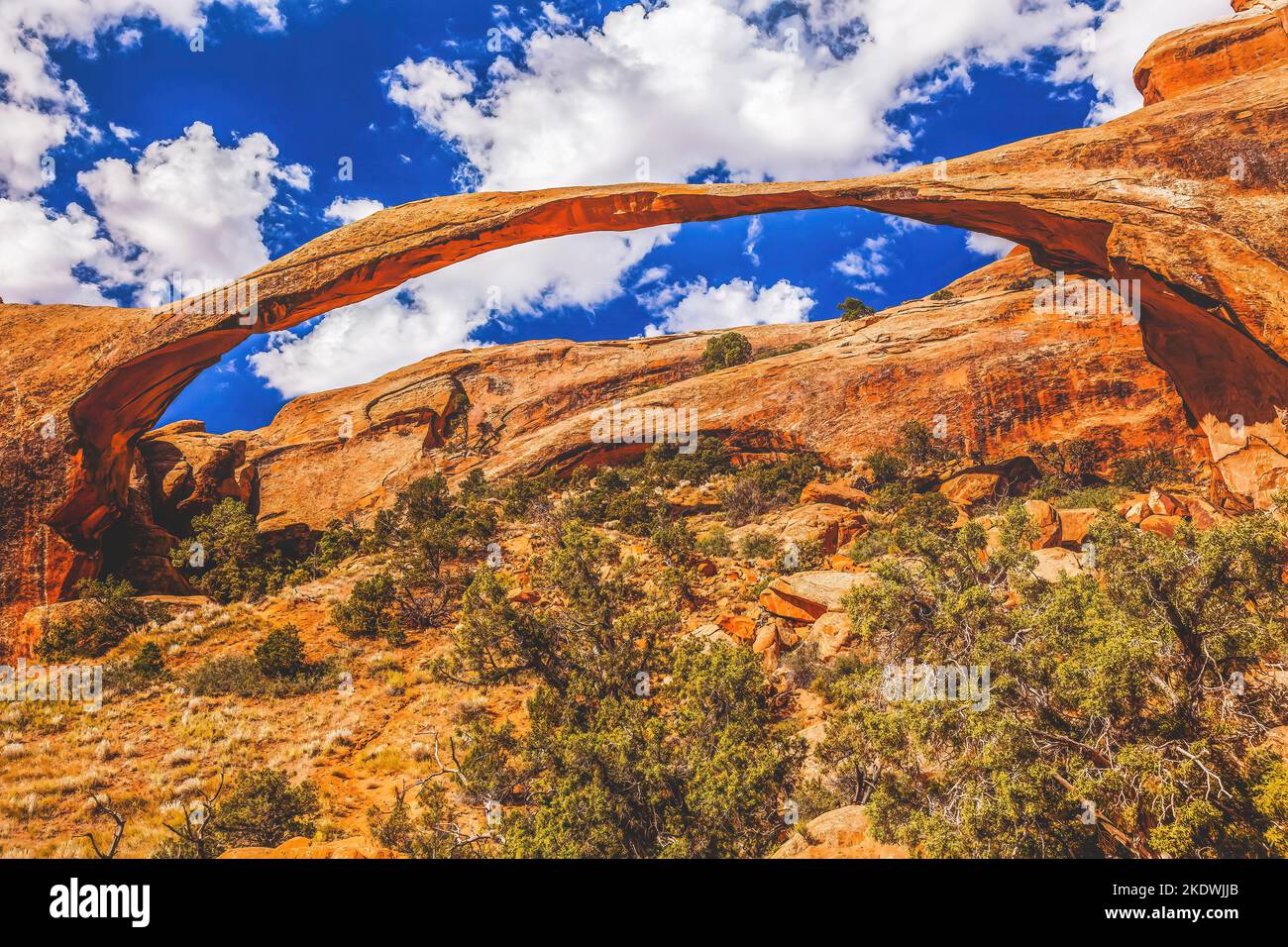 Colorato Paesaggio Arch Blue Skies Rock Canyon Devils Garden Arches National Park Moab Utah USA Southwest arco più lungo e più sottile del mondo. Foto Stock