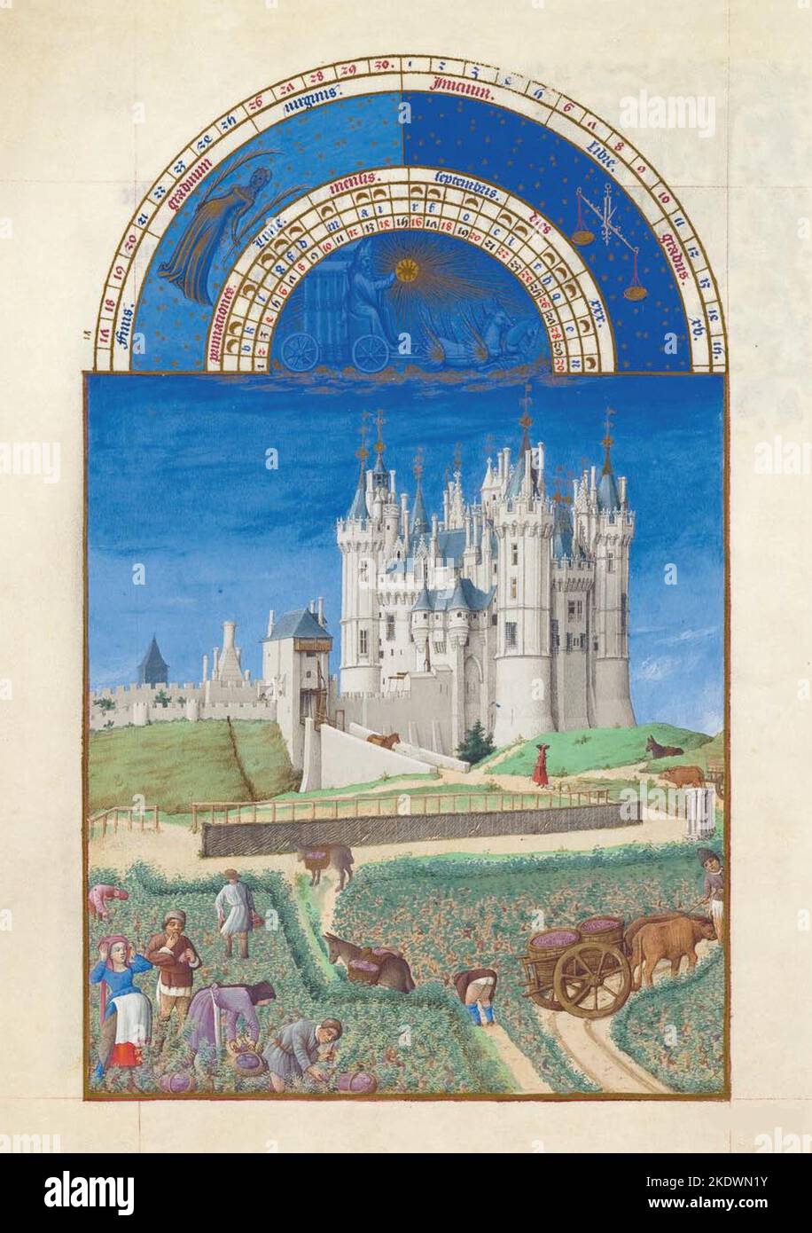Francia: Raccolta delle uve al Chateau de Samur, settembre nella sezione calendario delle Tres riches Heures du Duc de Berry, tempera su vellum, Limbourg Brothers, c.. 1415 CE la Tres riches Heures du Duc de Berry è il più famoso e forse il migliore esempio di illuminazione manoscritta gotica francese, che mostra la fase tardo gotica internazionale dello stile. È un libro di ore: Una raccolta di preghiere da dire alle ore canoniche. Foto Stock