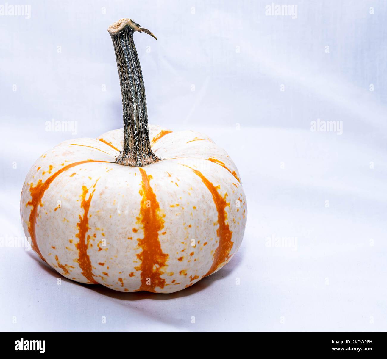 Cuore Di Drago», Lotta Al Tumore A Colpi Di Pagaia - Rubriche Volontariato, Endine Gaiano - Foto 3