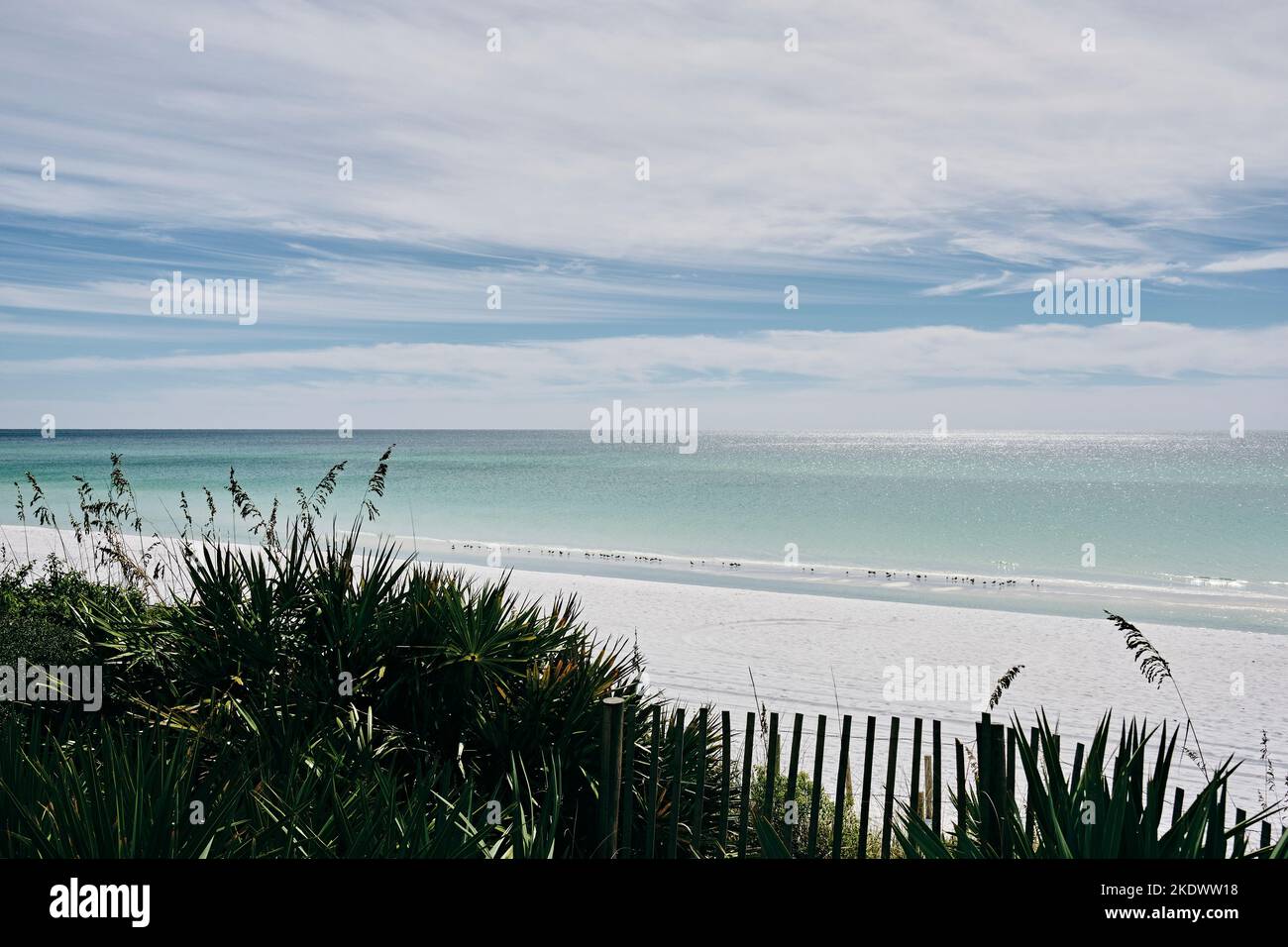 Spiaggia di sabbia bianca vuota sulla costa del Golfo della Florida nel panhandle della Florida a Destin Florida, USA. Foto Stock
