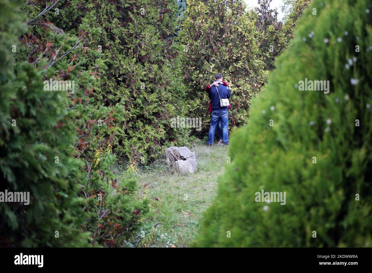 Una coppia si vede abbracciare nel Giardino Botanico sul Boulevard Francese. Giardino Botanico dell'Università Nazionale di Odessa, che prende il nome da Ilya Mechnikov. Sul territorio del giardino si presentano più di 3.000 tipologie di spazi verdi con una superficie di circa 16 ettari. Il giardino è una suddivisione educativa della Facoltà di Biologia dell'Università, sulla base dei diplomi e delle relazioni terminologiche vengono svolti annualmente, il personale scientifico del giardino partecipa al processo educativo. Nel 1963, al Giardino Botanico fu dato lo status di parco-monumento dell'arte paesaggistica (Photo by Viacheslav on Foto Stock