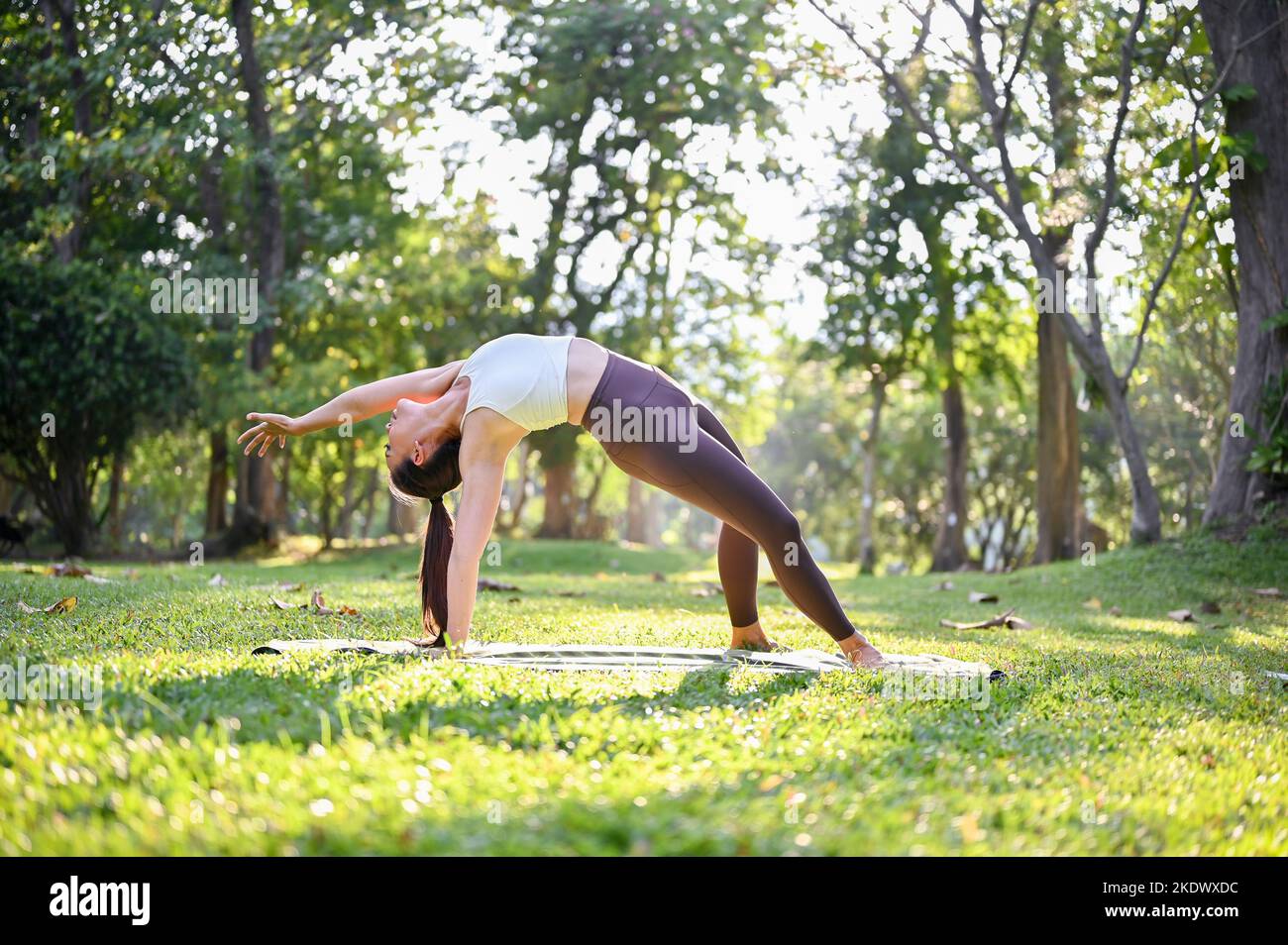 Sana donna asiatica in forma sportiva pratica avanza yoga posa, fare braccio equilibrio yoga posa o Wild Thing posa nel parco. Stile di vita sano e. Foto Stock