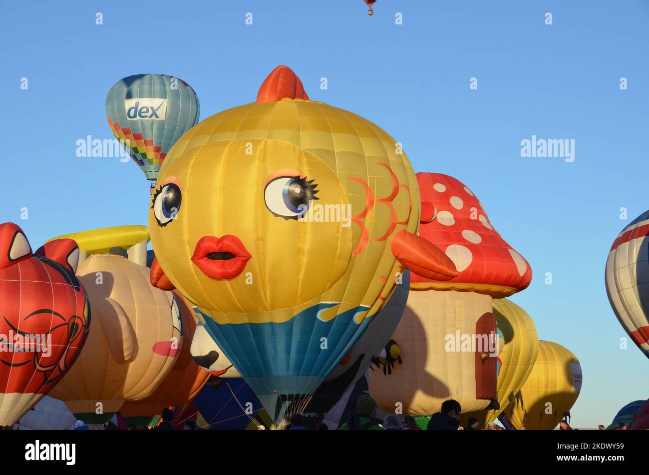 Mongolfiera all'Albuquerque International Balloon Fiesta Foto Stock