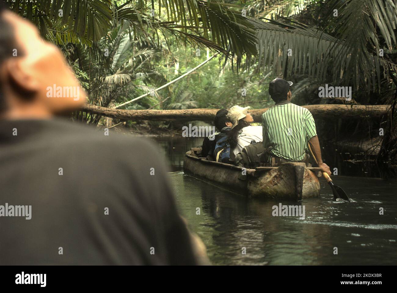 I ranger e i giornalisti del parco nazionale viaggiano in barca nel fiume Cigenter attraverso la foresta di pianura dell'isola di Handeuleum, una parte del parco nazionale di Ujung Kulon a Pandeglang, Banten, Indonesia. Foto Stock