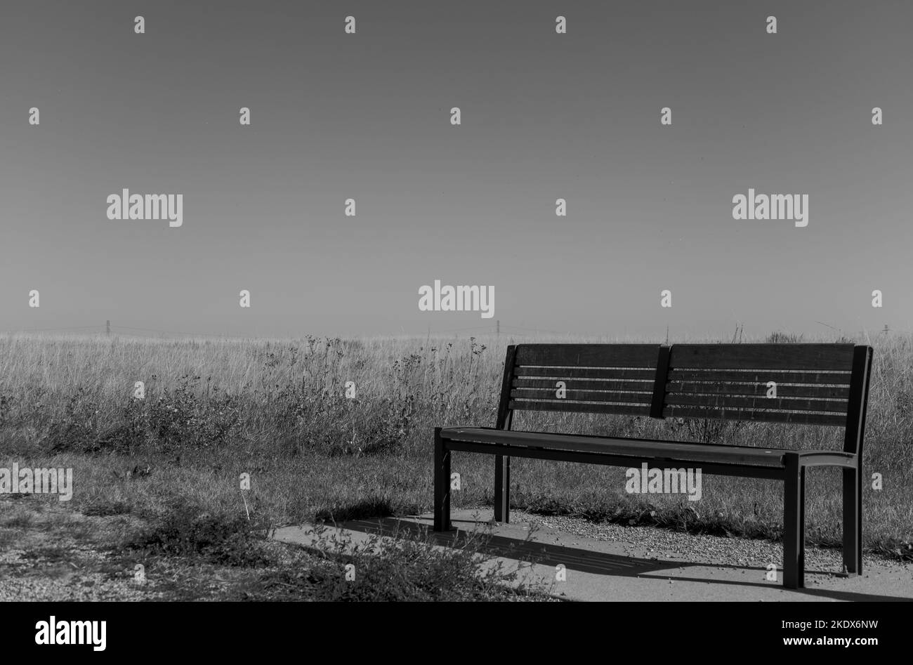 Prospettiva in bianco e nero di una panchina solitaria nelle praterie Foto Stock