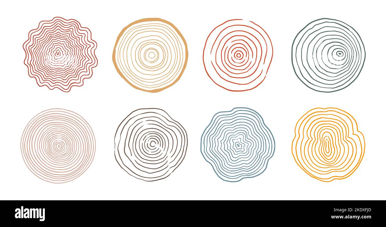 Set di cerchi in legno ad anello per alberi. Disegno a mano albero anello modello, linea ondulazione cerchio struttura in legno. Design della linea di sezioni in legno organico. Illustrazione vettoriale. Illustrazione Vettoriale