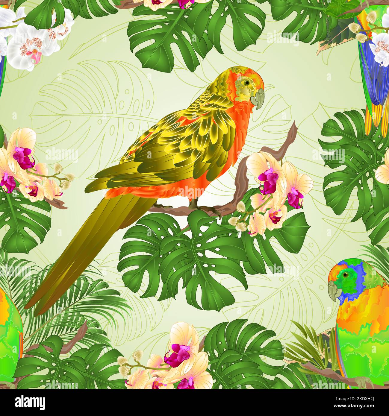 Texture senza cuciture Sun Conure Parrots uccelli esotici tropicali con bella giallo e bianco orchidea e filodendro vintage vettore illustrazione editab Illustrazione Vettoriale