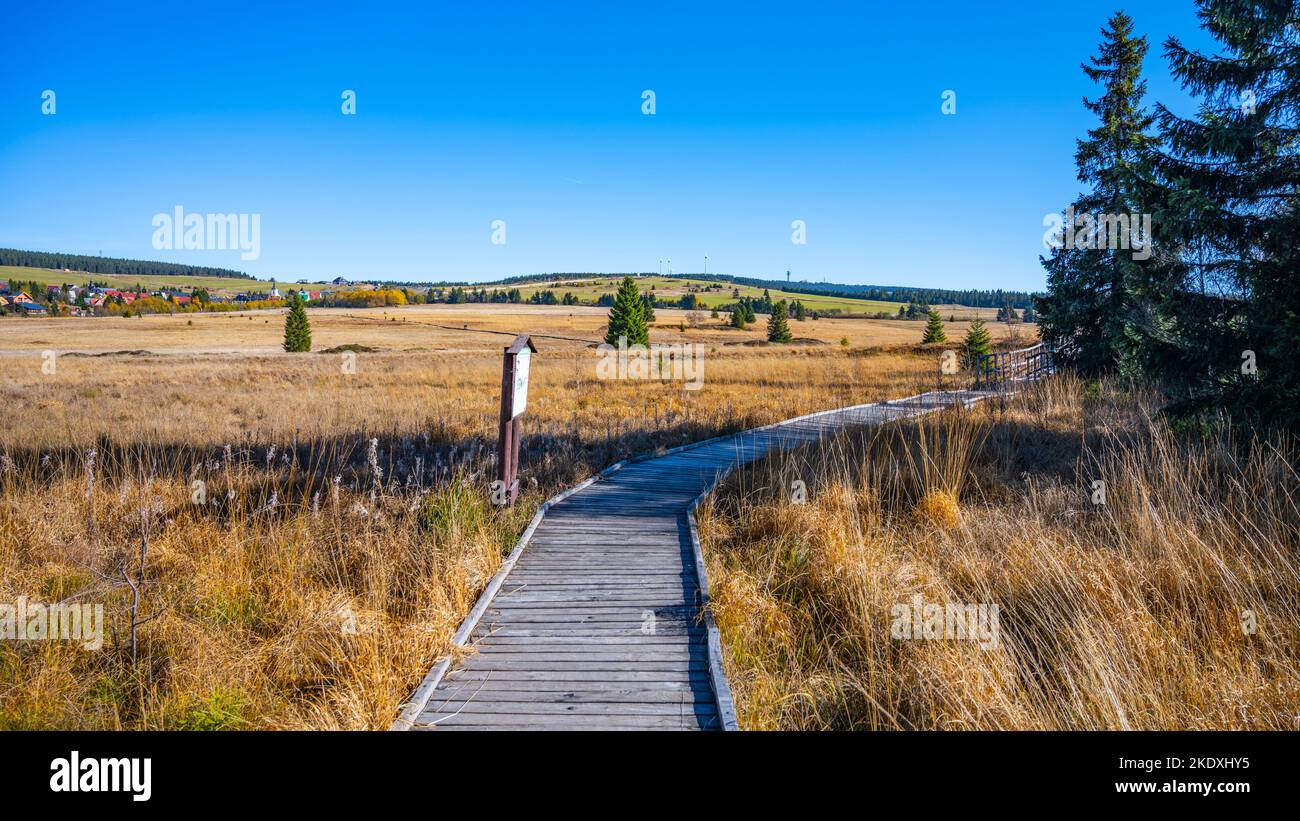 Sentiero in legno in Bozi Dar torbiera riserva naturale nella soleggiata giornata autunnale. Montagne del minerale, ceco: Krusne Hory, Repubblica ceca Foto Stock