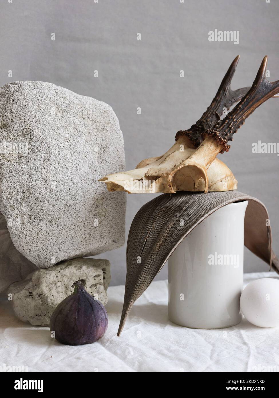 Vita morta con cranio e forme naturali Foto Stock