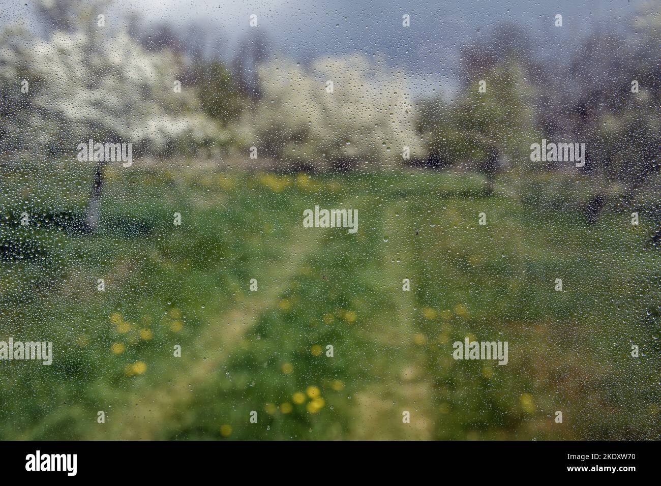 Gocce d'acqua sulla finestra e paesaggio rurale. Foto Stock