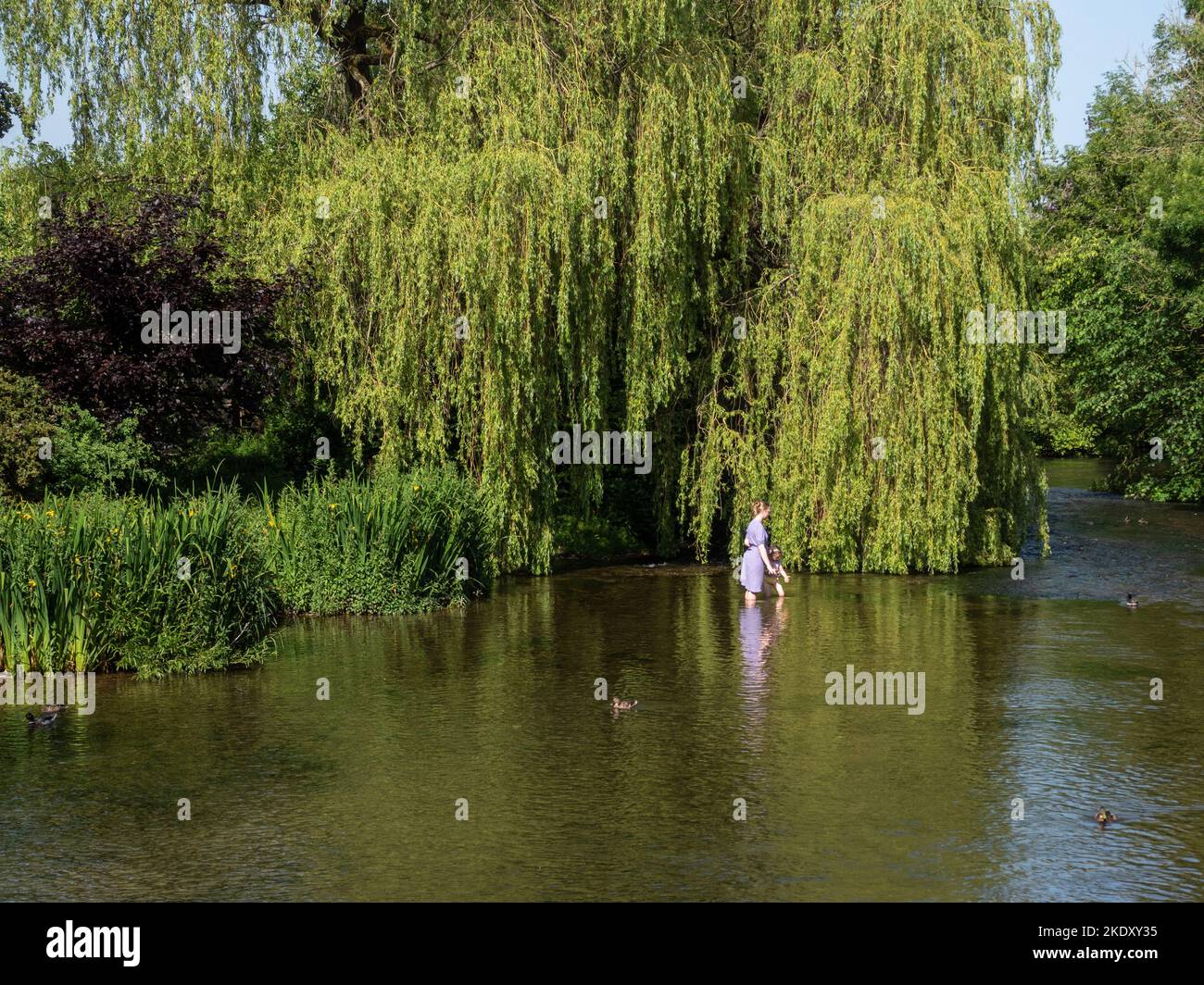 Madre e bambino che paddling nelle acque poco profonde del fiume Wye, Ashford in the Water, Derbyshire, UK Foto Stock