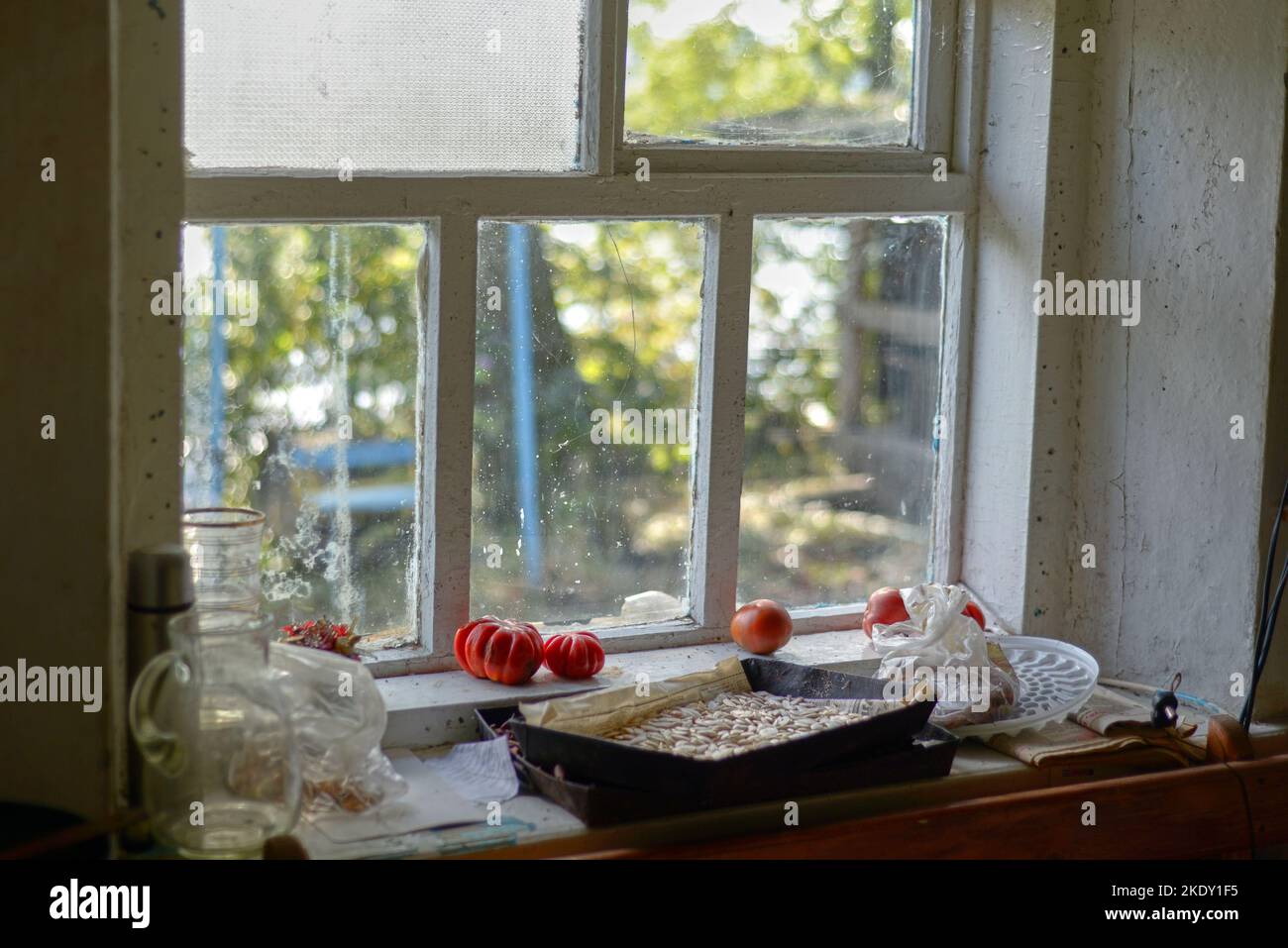 Vecchio davanzale con pomodori e semi di zucca. La finestra macchiata nel villaggio era sporca Foto Stock
