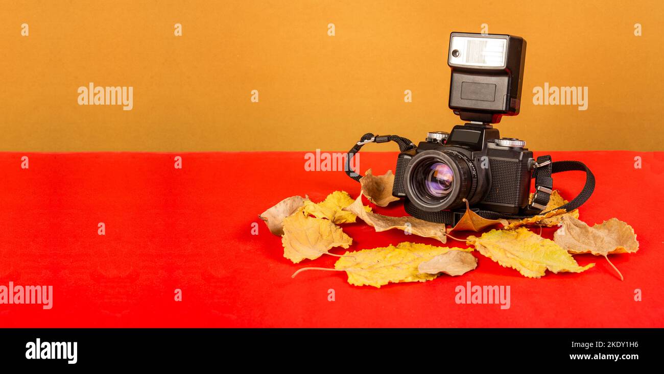Banner autunnale a tema con fotocamera vintage e foglie gialle. Foto Stock
