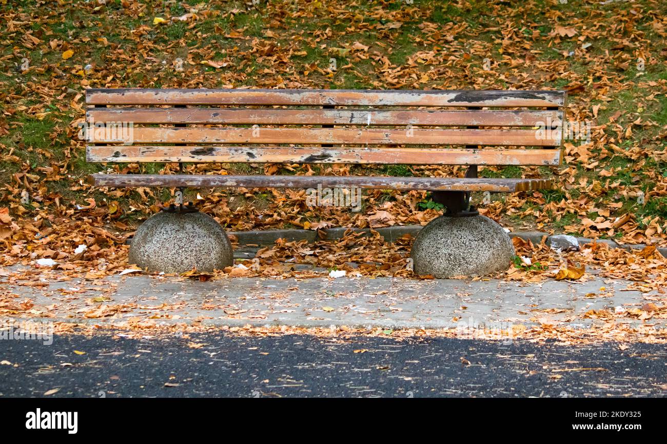 Panca ovale, panca vuota tra foglie cadute in autunno. Area ricreativa nella foresta. Foto rumore orizzontale. Nessuna gente, nessuno. Foto Stock