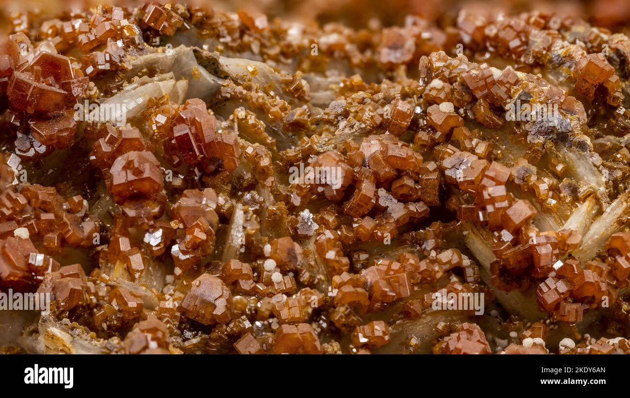 cristalli tabulari di vanadinite di colore rosso arancio. Campione minerale di piombo appartenente alla ottava classe Foto Stock