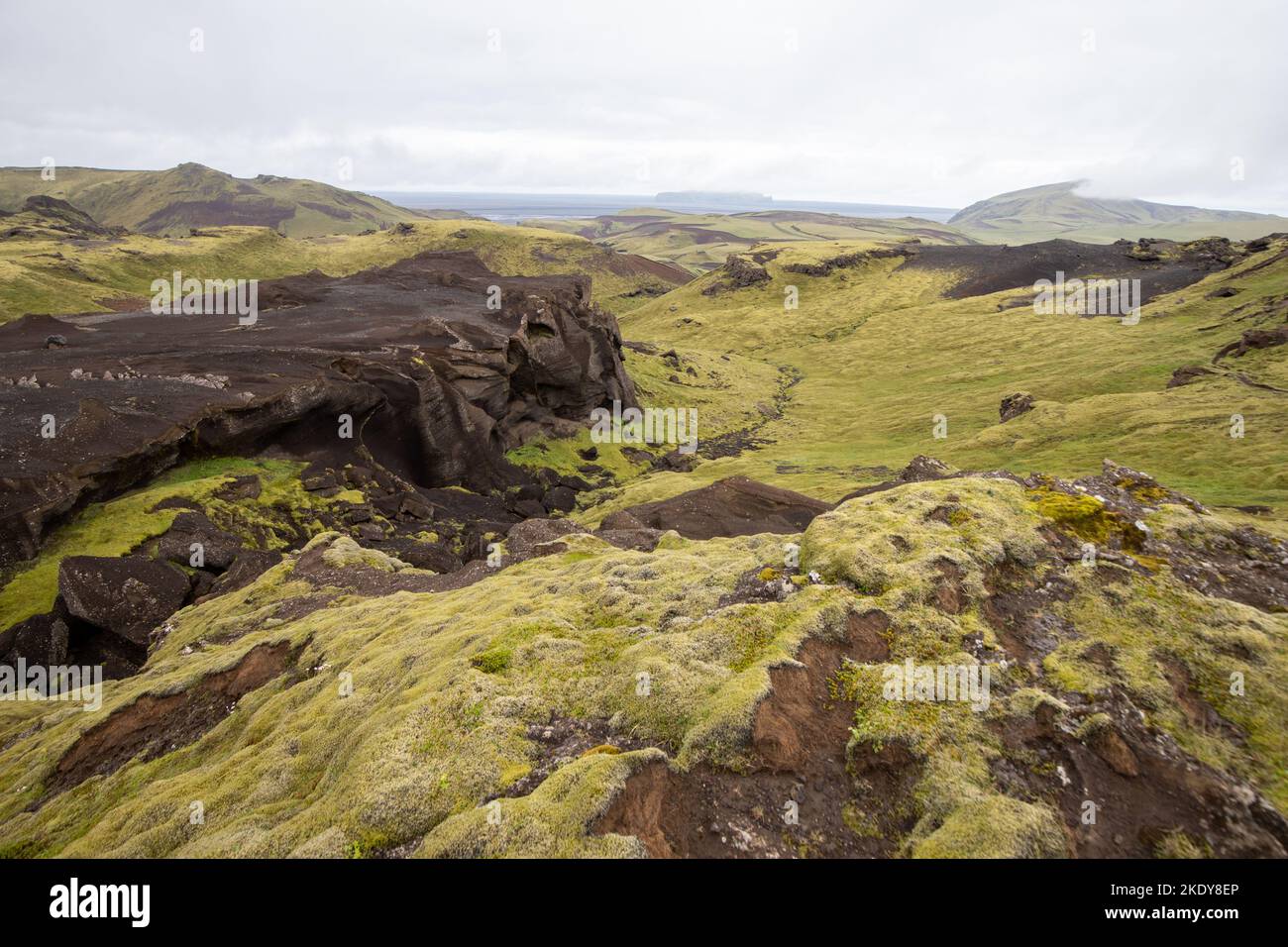 Una vista panoramica delle rocce mossy in Katla Geopark Foto Stock