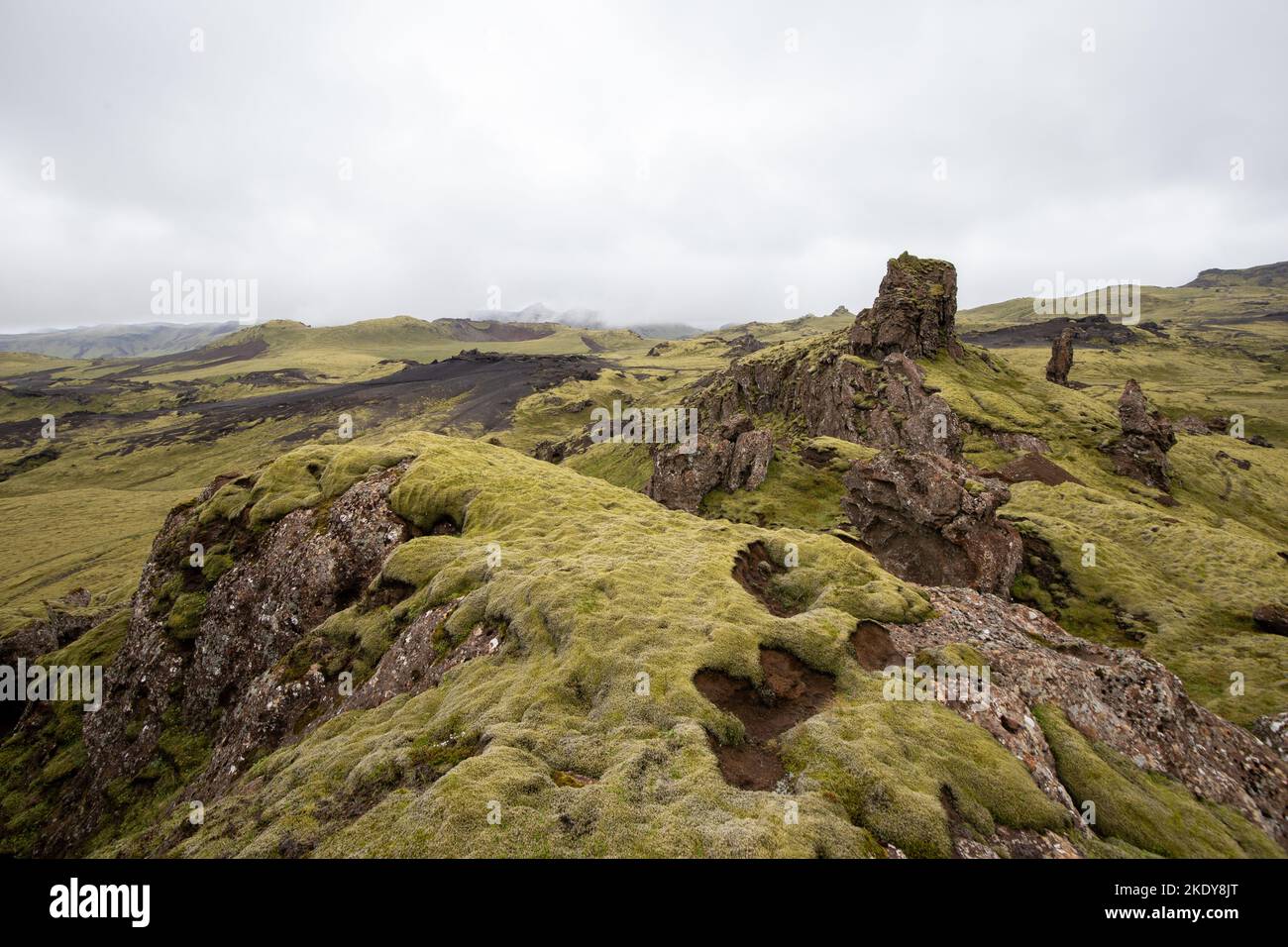 Una vista panoramica delle rocce mossy in Katla Geopark Foto Stock