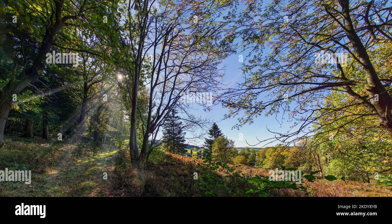 Der Velmerstot im Teutoburger Wald Foto Stock