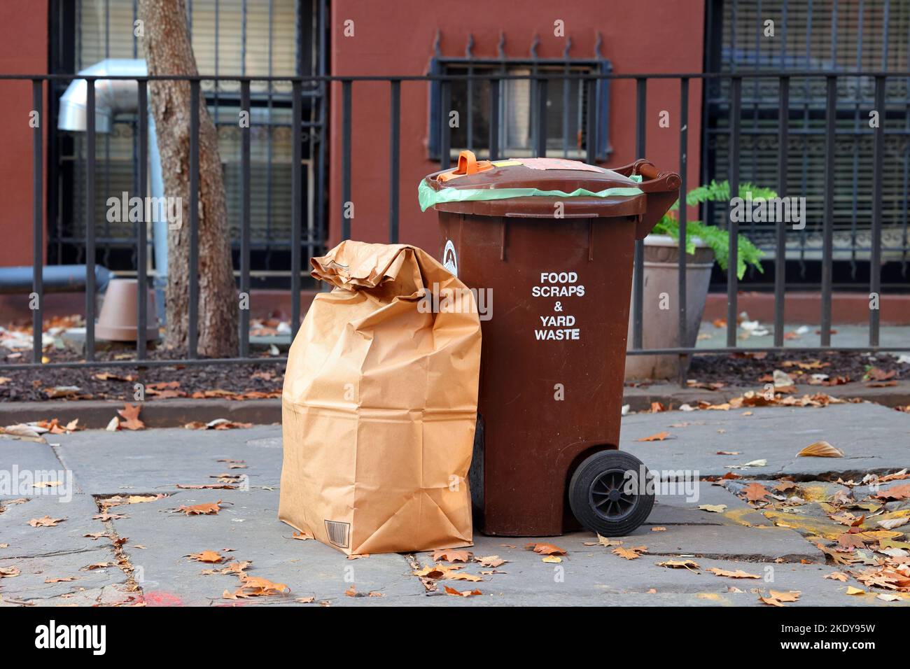 Un bidone marrone per gli scarti alimentari e i rifiuti di iarda impostato sul marciapiede per la raccolta di servizi igienici a Brooklyn, New York City. Il compostaggio di Curbside è un sanitation di NYC ... Foto Stock