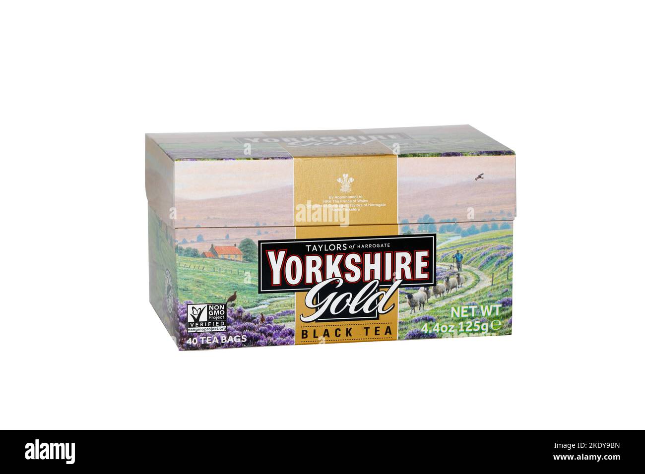 Una scatola di Taylors di Harrogate Yorkshire Gold Black Tea borse isolate su sfondo bianco. Immagine ritagliata per l'illustrazione e l'uso editoriale. Foto Stock