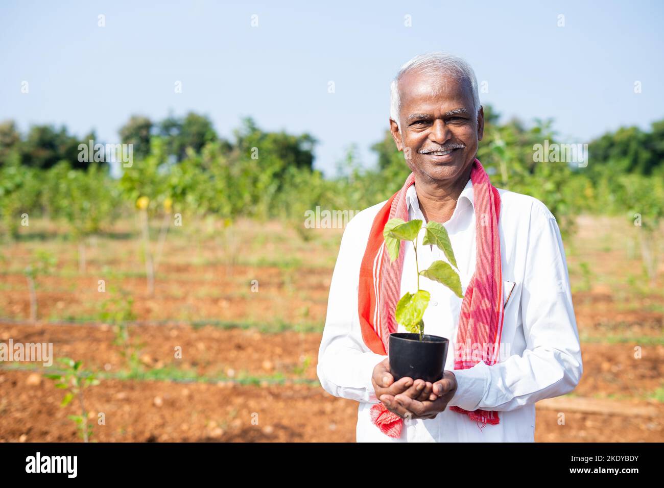 Felice sorridente agricoltore che tiene lo stabilimento guardando la macchina fotografica del terreno agricolo - concetto di ambiente, sostenibilità e agricoltura biologica. Foto Stock