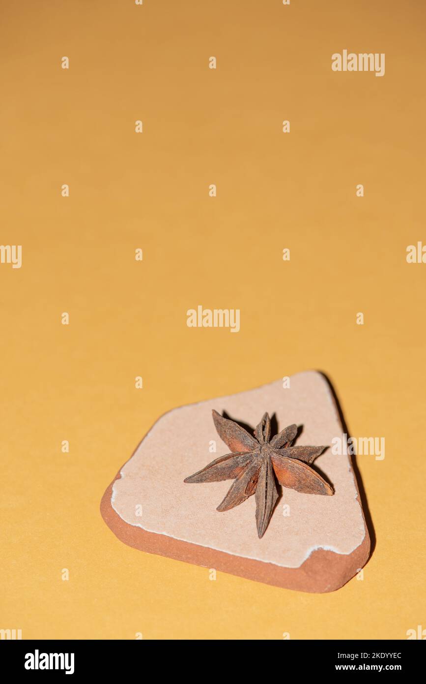 L'anice stellato, una fragrante spezia fatta con il frutto dell'albero sempreverde Illicium verum, è esposta su una piastrella di mare. Foto Stock