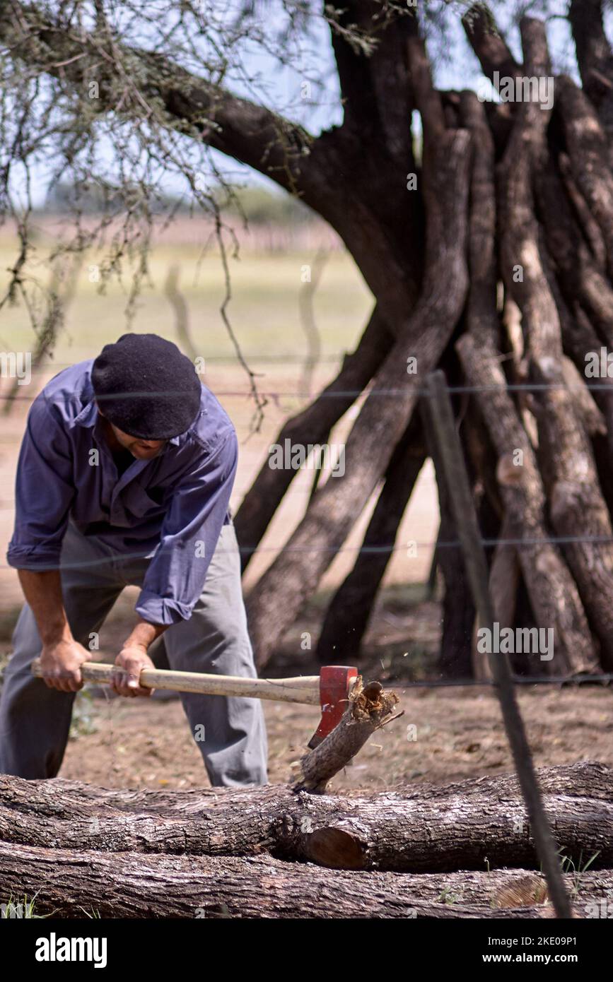 Gaucho argentino che trita un ceppo. Foto Stock