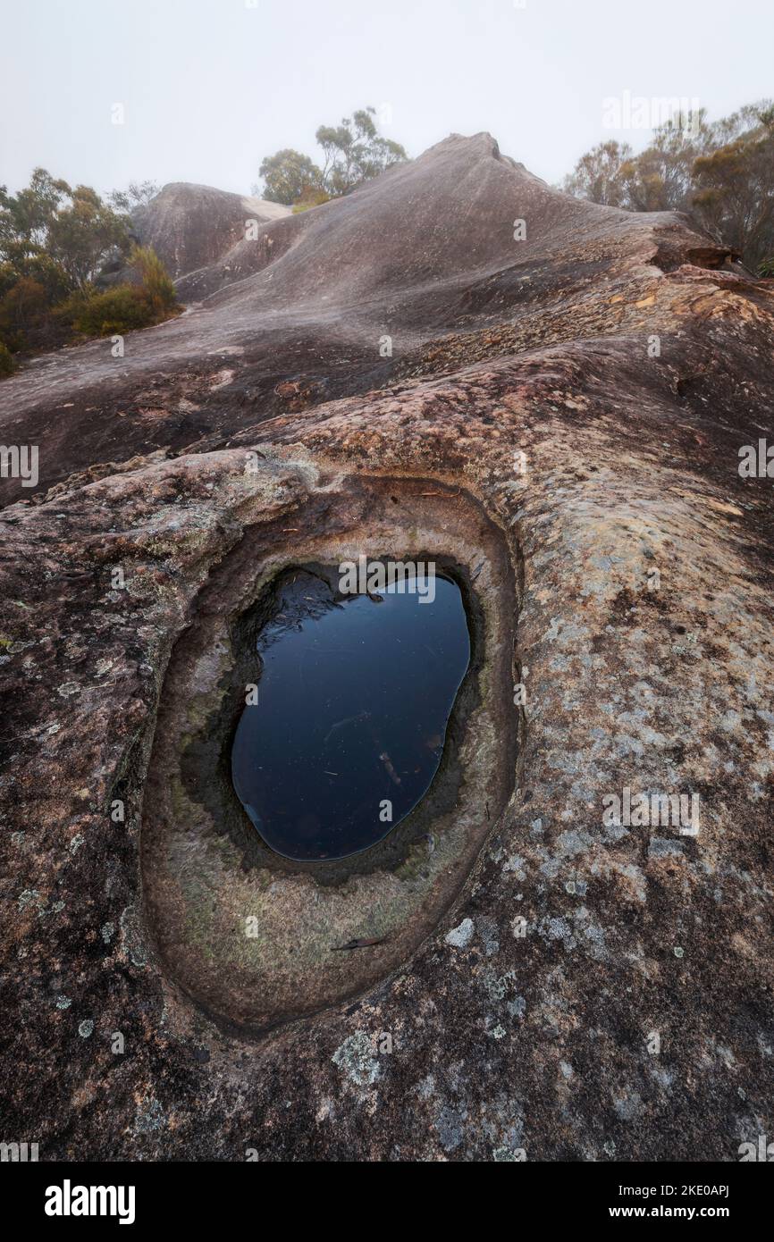 Un piccolo lago cratere sulla roccia dell'Elefante nel Parco Nazionale Acquatico di Brisbane nella Costa Centrale del NSW in Australia Foto Stock