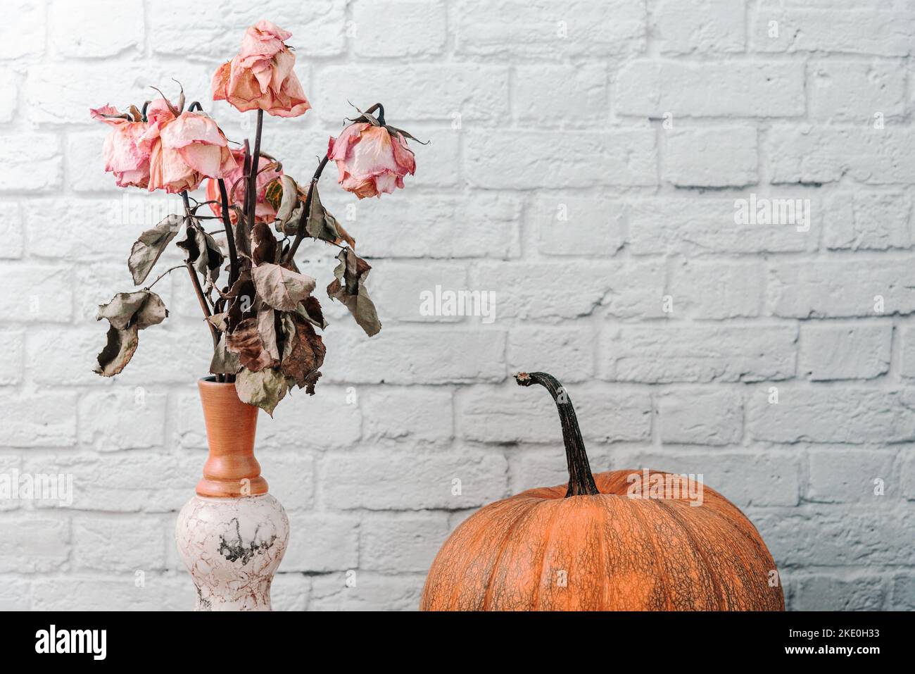 Bouquet di rose secche e zucca vicino al muro di mattoni bianchi Foto Stock