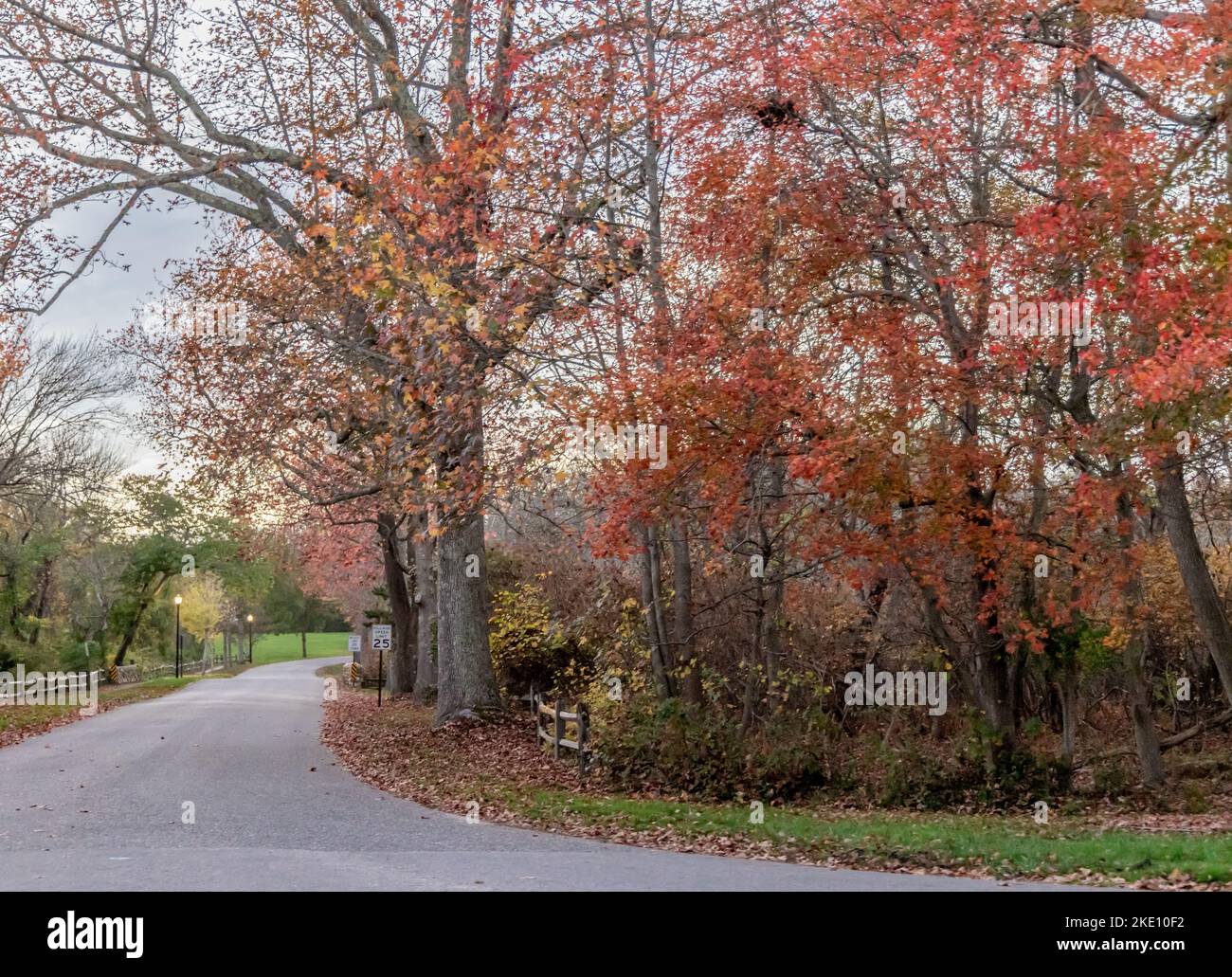 Hunting Lane in autunno sera, East Hampton, New York Foto Stock