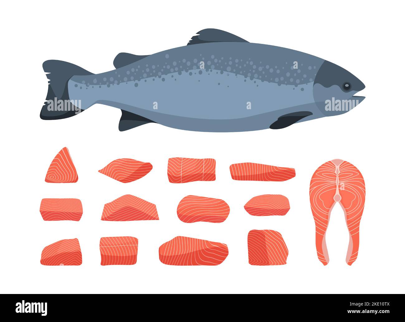Pesce salmone. Cartoon trota rossa bistecche crude filetto non preparato, menu di pesce ristorante pasto appetitoso sana dieta nutriente concetto. Illustrazione di un set isolato da vettori di salmone alla trota crudo Illustrazione Vettoriale Pesce salmone. Cartoon trota rossa bistecche crude filetto non preparato, menu di pesce ristorante pasto appetitoso sana dieta nutriente concetto. Illustrazione di un set isolato da vettori di salmone alla trota crudo Illustrazione Vettoriale