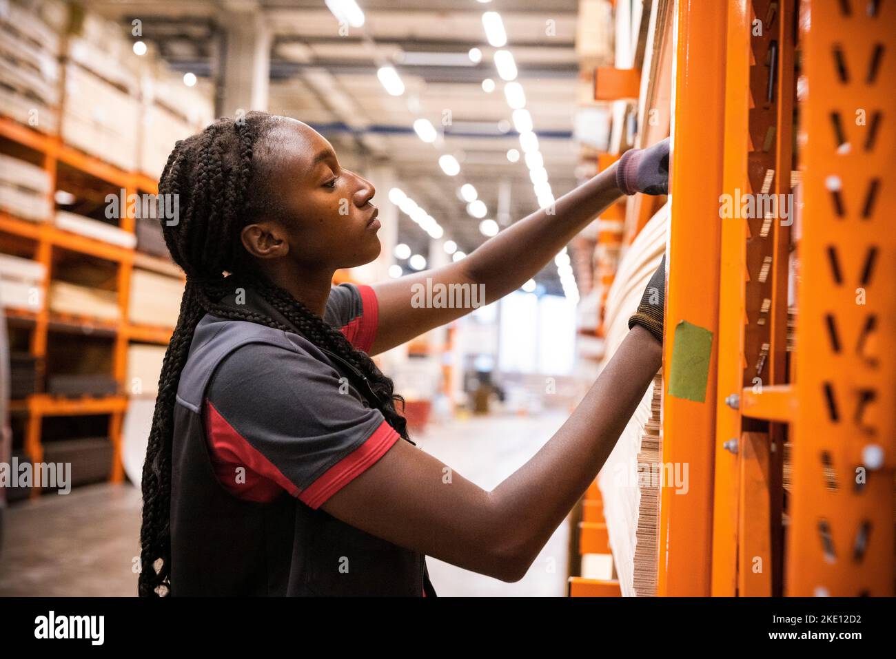 Personale di vendita femminile che esamina il legno compensato nel negozio di ferramenta Foto Stock